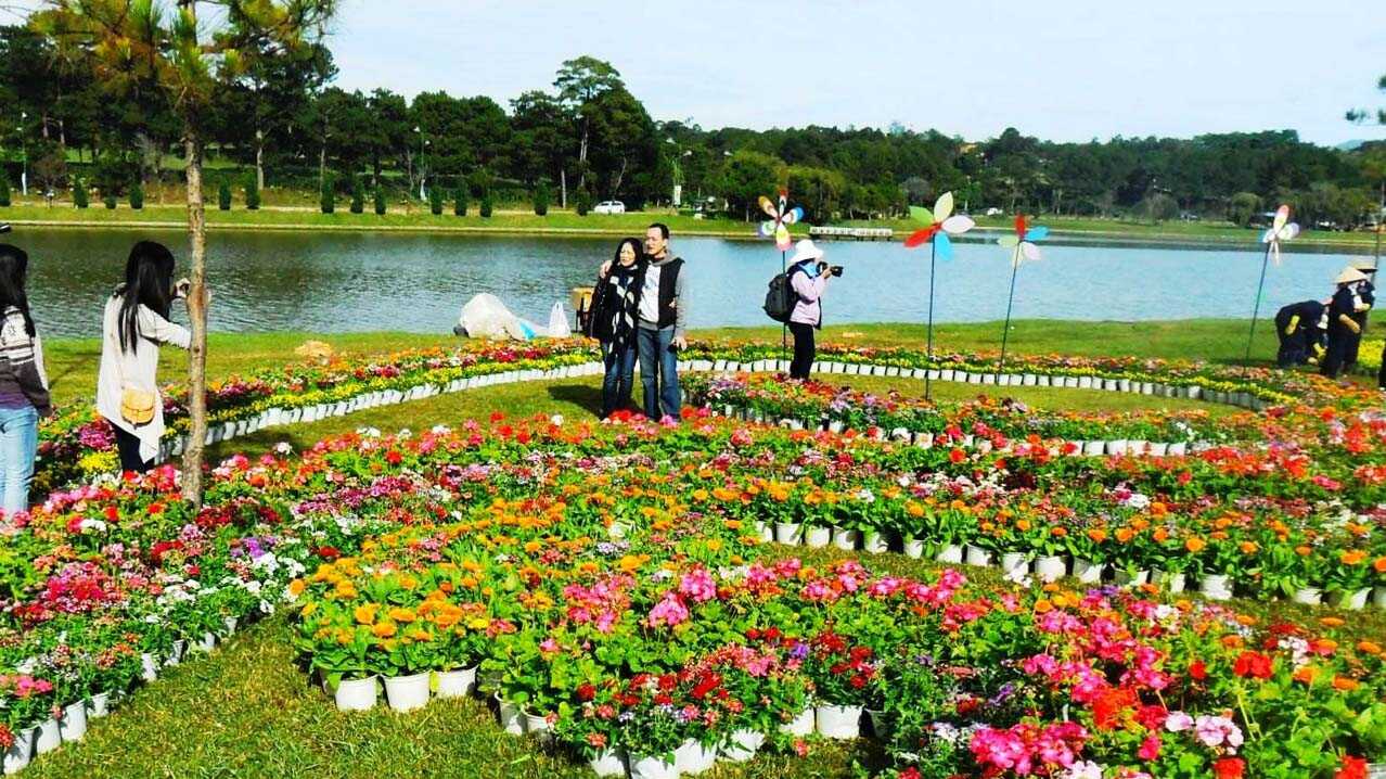 Đà Lạt Festival 7