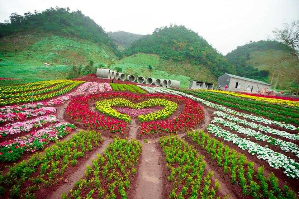 Happy Land Mộc Châu