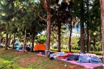 Top 04 lý do lễ 30/04 & 01/05 du khách chọn du lịch theo tour