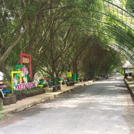 ĐỒNG THÁP SEN HỒNG