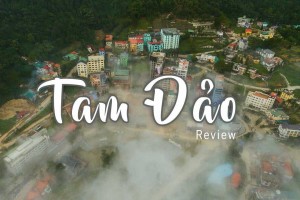 [HOT] Review 