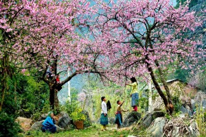 Kinh nghiệm du lịch Sapa tự túc