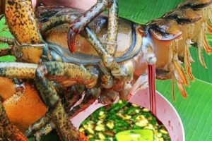 Tiết canh tôm hùm - món ngon độc lạ tại Bình Ba