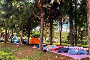 Top 04 lý do lễ 30/04 & 01/05 du khách chọn du lịch theo tour
