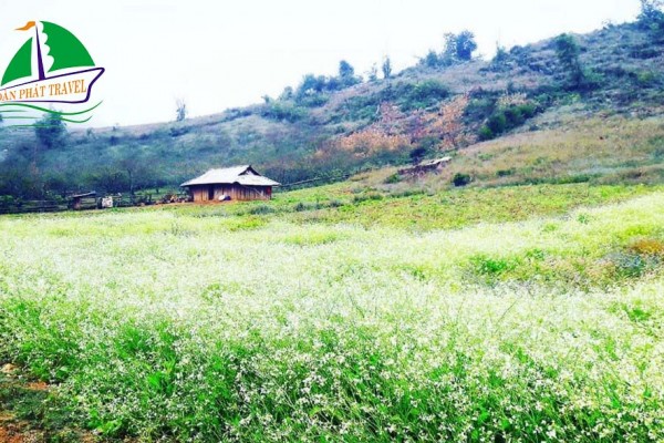 HÀ NỘI - MAI CHÂU - MỘC CHÂU