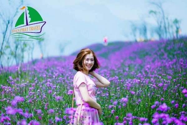 HÀ NỘI - SAPA - MỘC CHÂU - TRÀNG AN - BÁI ĐÍNH